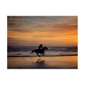 Trademark Fine Art PHBurchett 'Sunkissed Horses IV' Canvas Art, 35x47 WAG14629-C3547GG